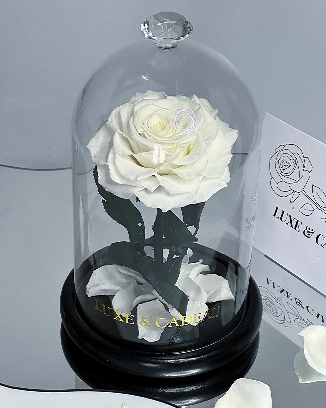 Rose éternelle Sous Cloche Avec Papillon - Décoration LED, 22cm, Idée Cadeau Romantique