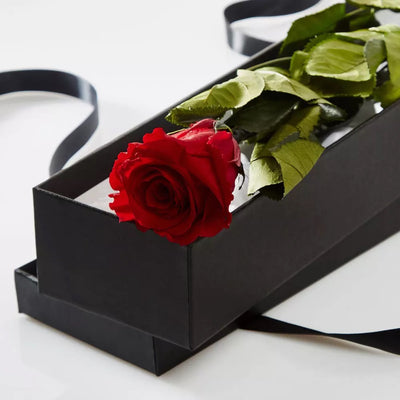 Rose éternelle sur tige avec la boîte 50 cm