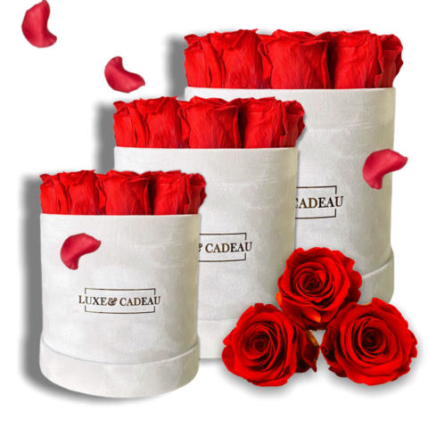 Collection bouquets roses éternelles 100% naturelle • BOX VELVET •