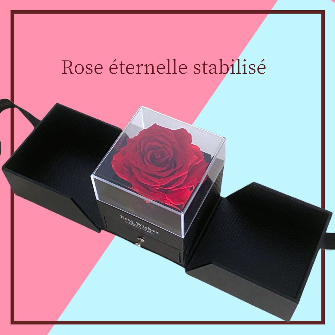 Rose éternelle stabilisé