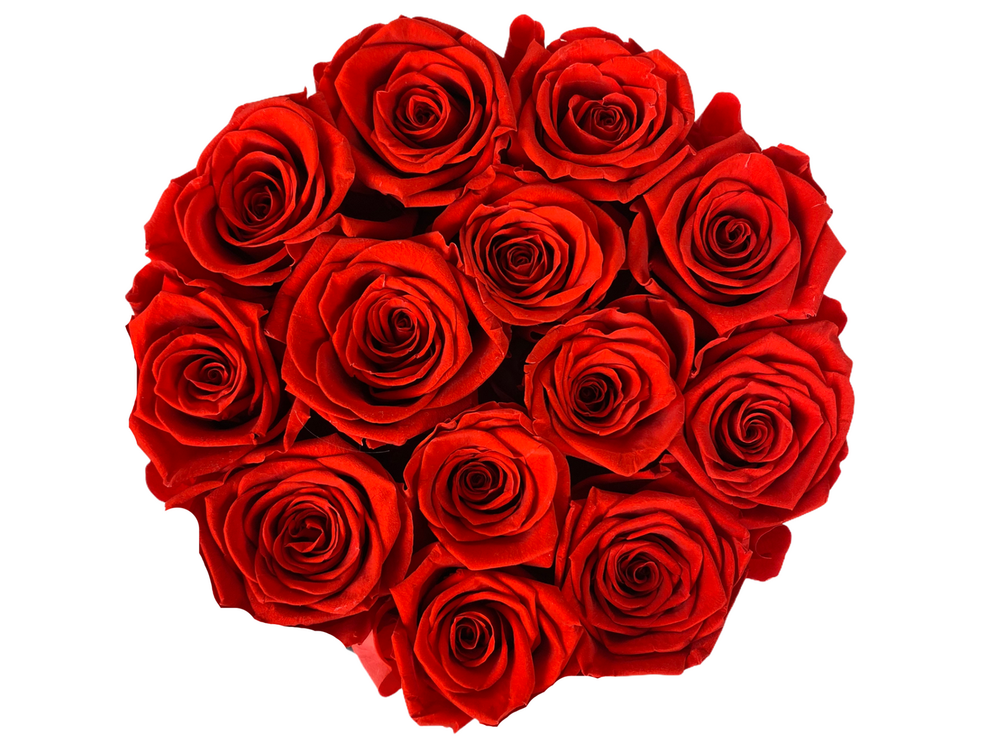 Collection bouquets roses éternelles 100% naturelle