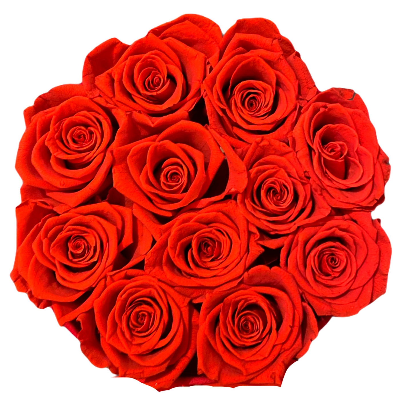 Collection bouquets roses éternelles 100% naturelle • BOX VELVET •