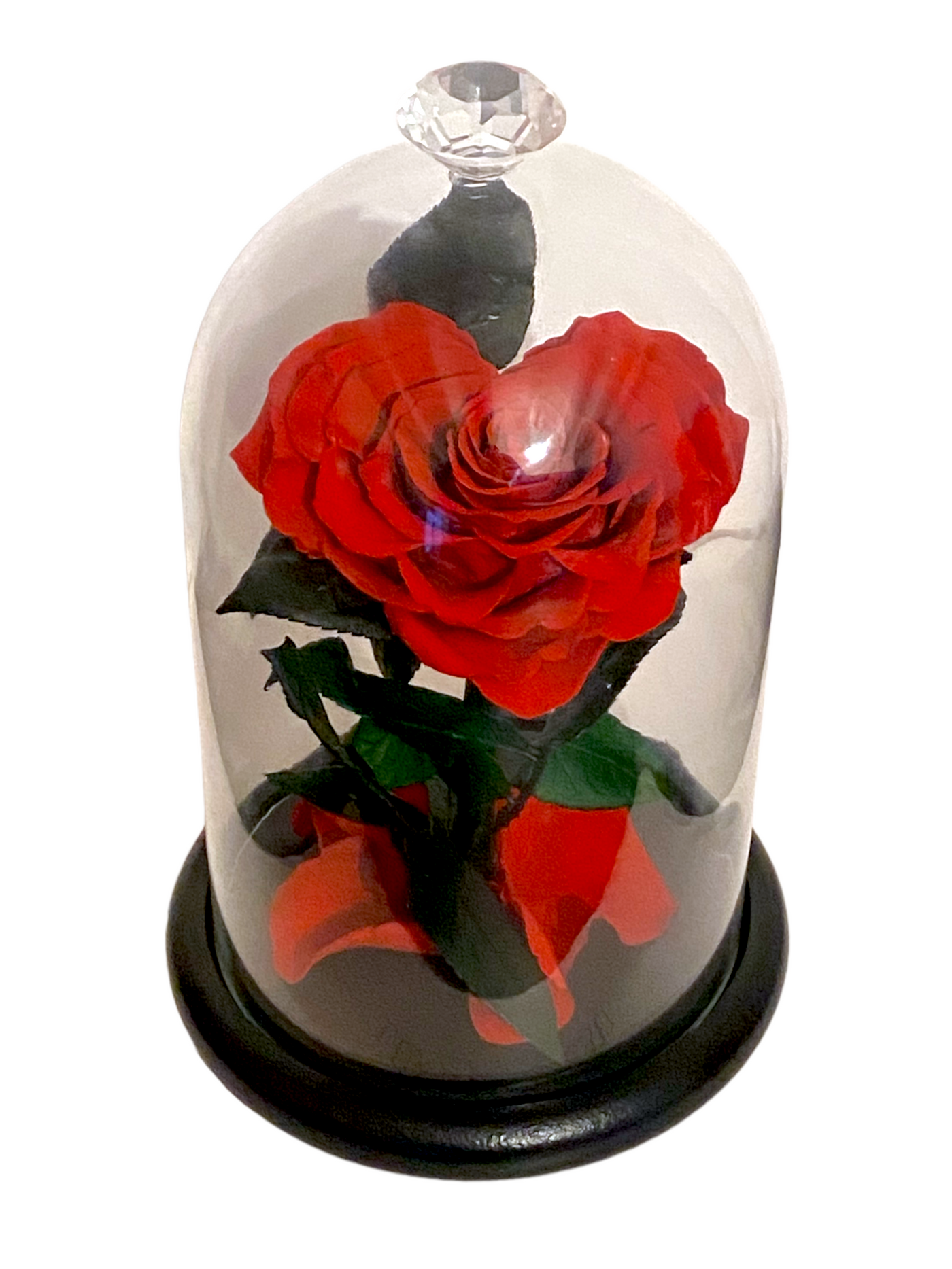 Rose éternelle sous cloche en forme de cœur 14,5*23cm
